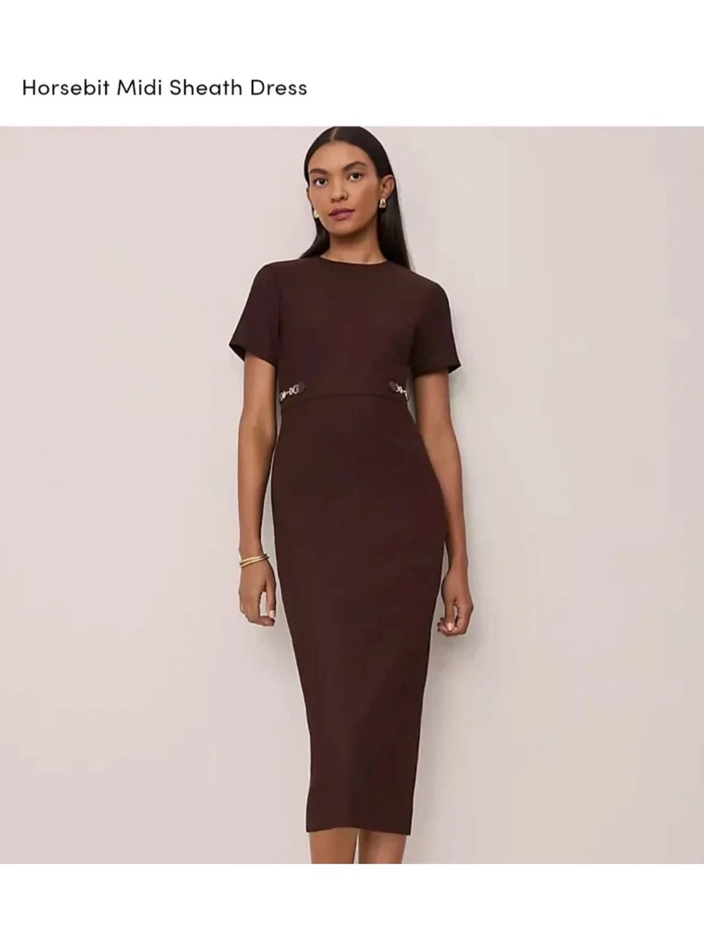 NWT $179 Ann Taylor Horsebit Midi Sheath Dress Chocolate Brown sz 4